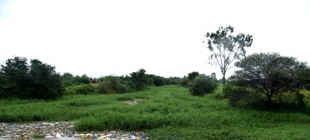 पावसाळ्यापूर्वी शहरातील नाल्यांची स्वच्छता करा