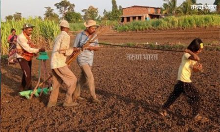 पन्हाळा तालुक्यात धूळवाफ भात पेरणीची धांदल; अंतरमशागतीसाठी जोर