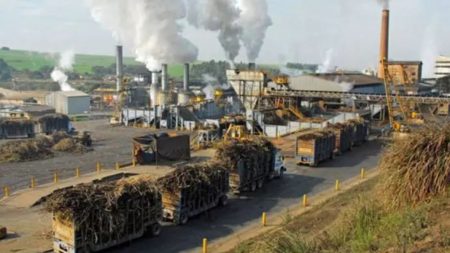 राज्यासाठी गोड बातमी : साखर उद्योगाचा व्यवसाय 1.8 लाख कोटीचा