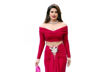 प्रियांका चोप्रा लवकरच हिंदी वेबसीरिजमध्ये