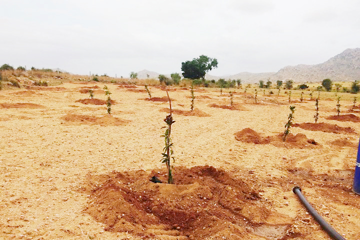 उद्दिष्ट मोठे संदेश मात्र खोटे