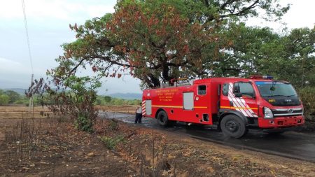 कलंबिस्त येथील सेल्फी पॉइंट वृक्ष आगीत होरपळला !