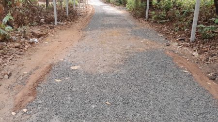 devlopement :चराठा गावडेशेत ते वाघाचा होंडा रस्त्याचे लोकवर्गणीतुन नुतनीकरण