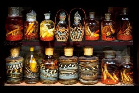 चीनमध्ये तयार होते स्नेक वाइन