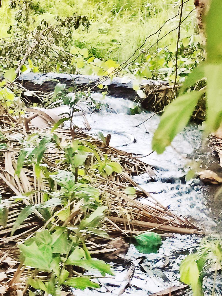 माड कोसळून सांडपाण्याची वाहिनी फुटली