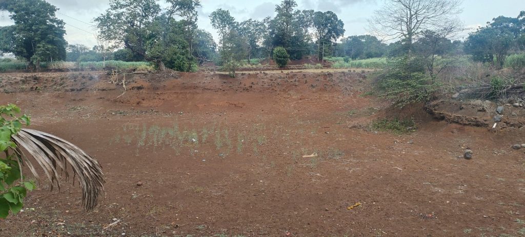 गेला पाऊस कुणीकडे…