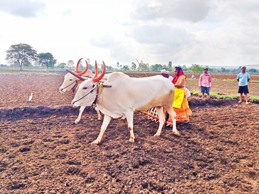 मान्सून तोंडावर… शेतकरी बांधावर