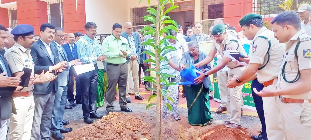 शहरातील विविध भागात वृक्षारोपण