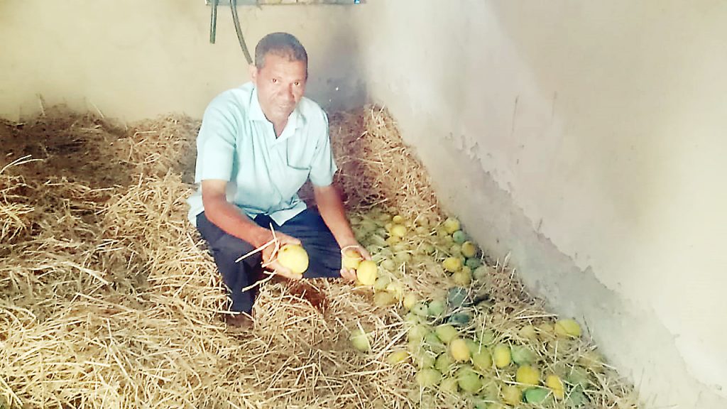 खडकाळ डोंगर हिरवागार बनविणारे प्रगतशील शेतकरी उमेश गावकर