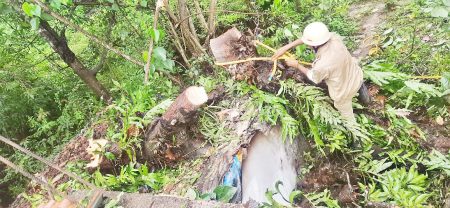 heavy rain in sattari taluka