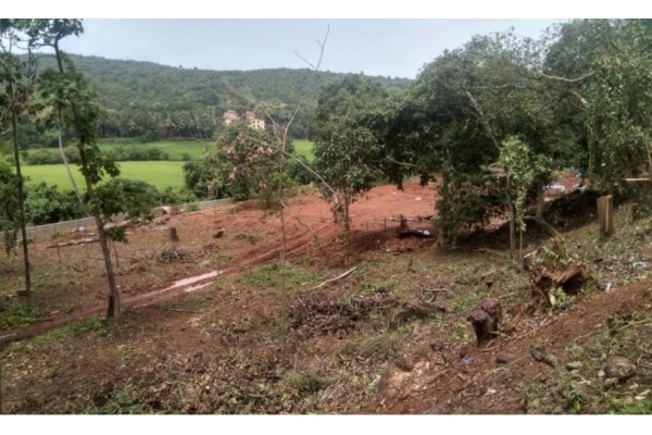 गोव्यातील पर्यावरणासमोर अनेक समस्या …