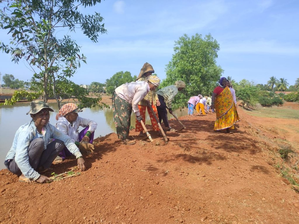 बेकिनकेरे तलावाला ‘नरेगा’चा आधार