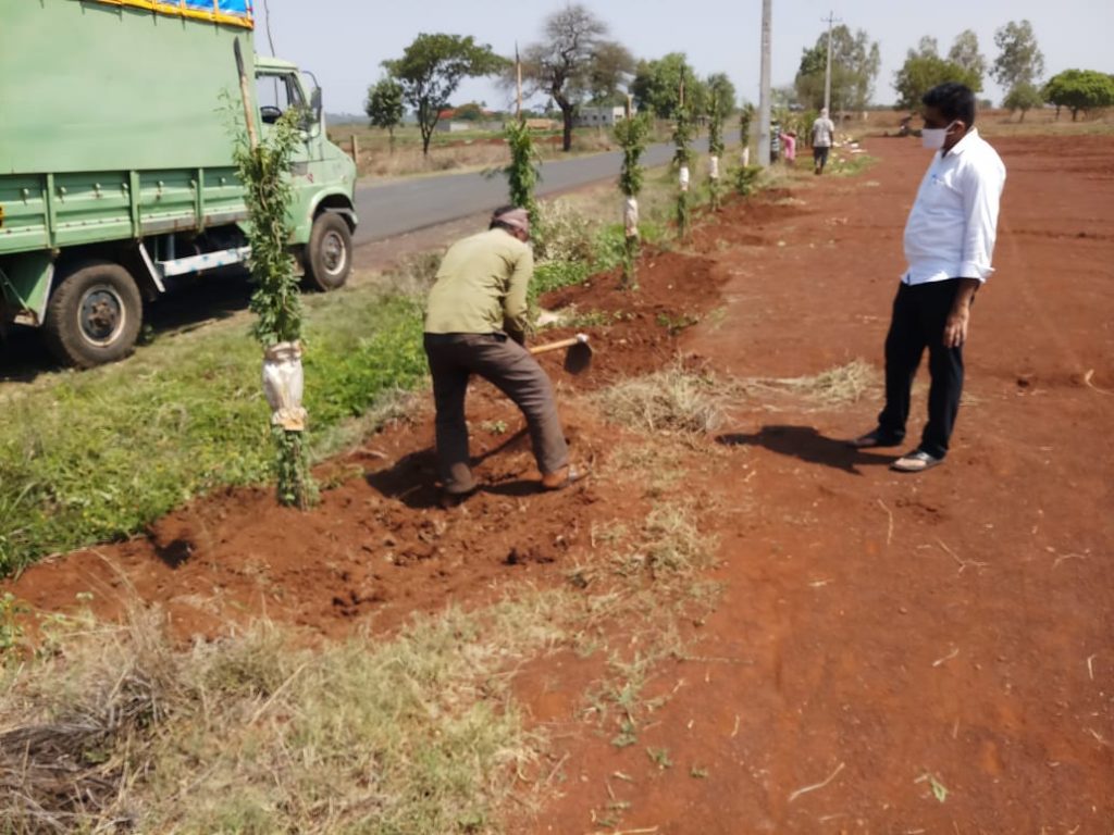 दुतर्फा रस्ते हिरवाईने नटणार