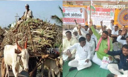 नको एफआरपी, टनाला पाच हजार दर द्या; शेतकरी संघटनांची मागणी FRP five thousand per tonne sugarcane farmers along with farmers organization