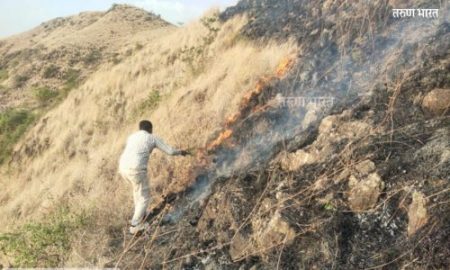 सावर्डेत भवानीच्या डोंगराला भीषण आग; अज्ञाताचे कृत्य, २० ते २५ एकर डोंगर आगीच्या भक्ष्यस्थानी !
