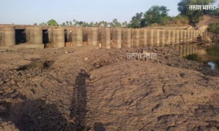 म्हैसाळ बंधारा कोरडा ठणठणीत; ढिसाळ नियोजनामुळे पाण्याने गाठला तळ !