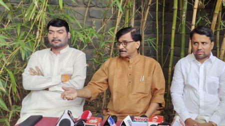 नातवानं शेण खाल्लं तरी लोकनेत्यांचं योगदान विसरणार नाही-संजय राऊत sanjay raut criticism on shambhuraj desai Shiv Sena Thackeray group