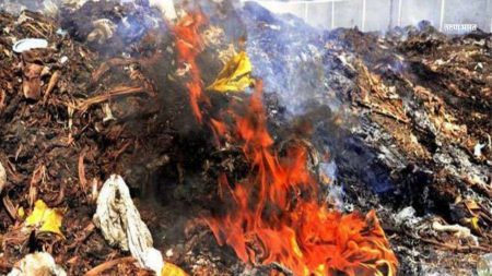 पेटणारा कचरा पाप कुणाचं…?