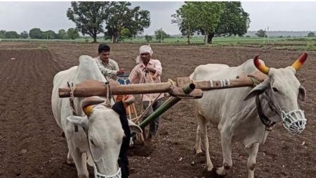 खरीपाच्या पेरणीसाठी पावसाची प्रतीक्षा,पावसाअभावी पेरण्या खोळंबल्या