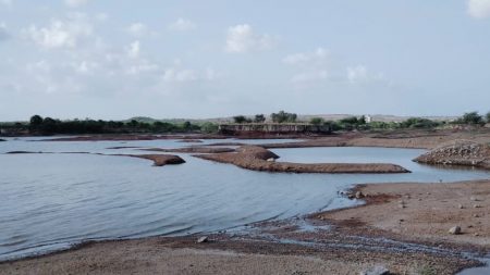 जिल्ह्यात पावसाचा पत्ता नाही, तलाव कोरडे पडू लागले!