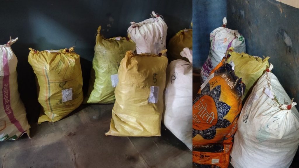 Gadhinglaj Crime News : धक्कादायक! गडहिंग्लज तालुक्यात होतेय गांजाची लागवड Ganja is being cultivated in Gadhinglaj taluk confiscated 75 trees