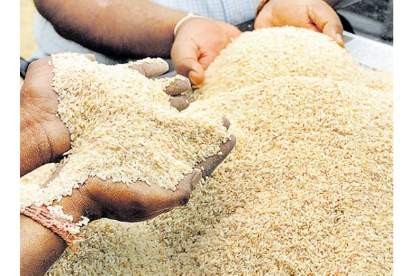 Extra rice in rations is a bad omen