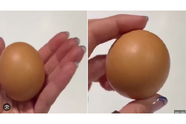 अंड्याचा फंडा