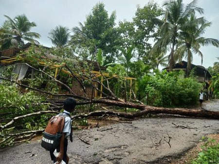 मुख्य रस्त्यासह लोखंडी मंडप व घरावर कोसळले झाड
