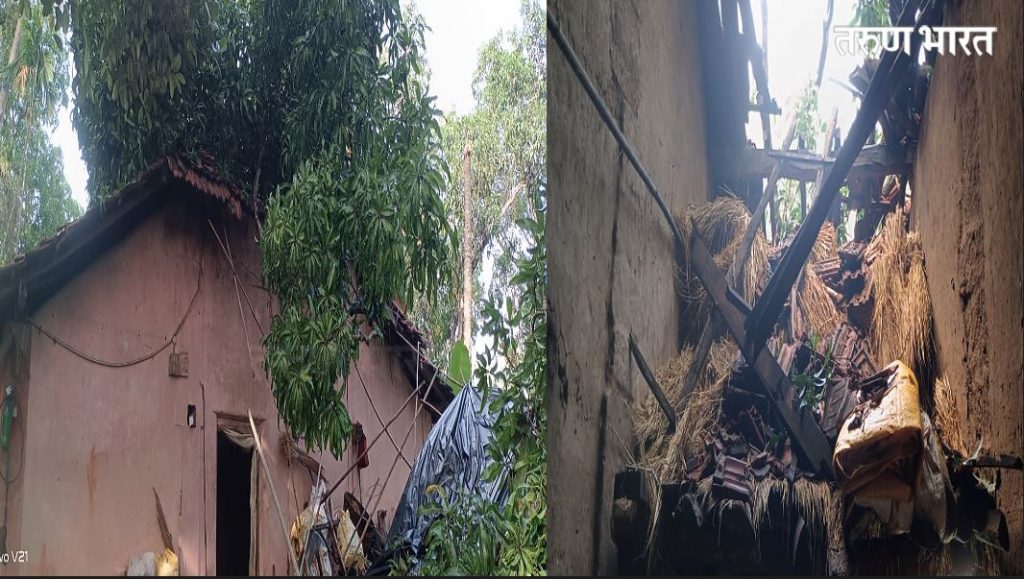 आचरा देवूळवाडी येथे घरावर झाड पडून नुकसान