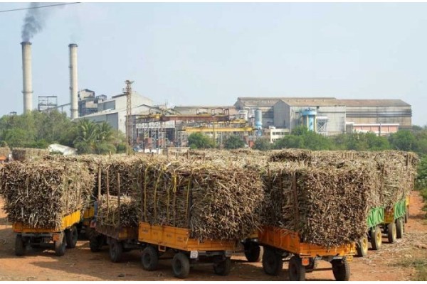 उसाच्या एफआरपीमध्ये प्रतिक्ंिवटल 10 रु. वाढ