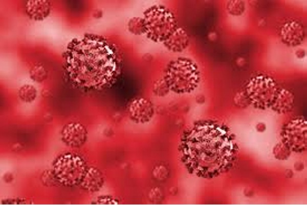 From now on, information about Corona will be available through bulletins.