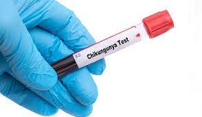 चिकनगुनियावरील लस लवकरच