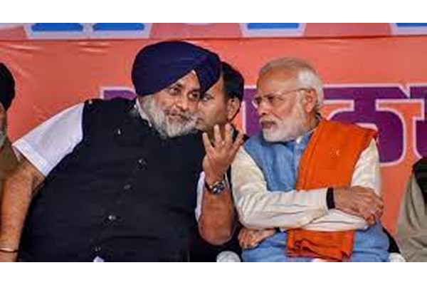 भाजप-अकाली दलाची पुन्हा आघाडी?