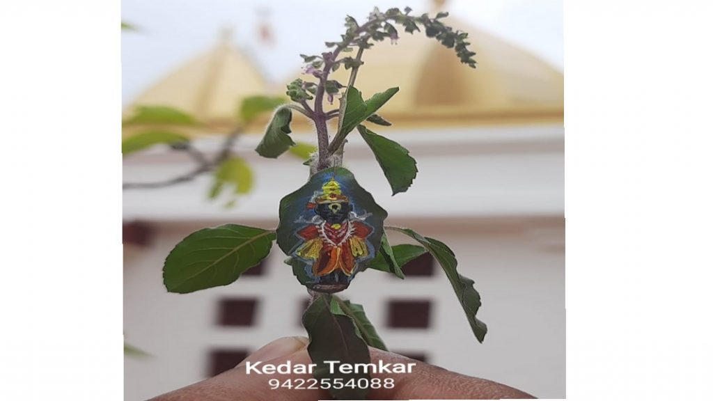 कुडाळ- सरंबळ येथील केदार टेमकरने साकारले तुळशीपत्रावर विठूराय