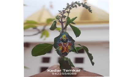 कुडाळ- सरंबळ येथील केदार टेमकरने साकारले तुळशीपत्रावर विठूराय