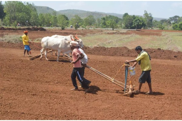 प्रतीक्षा ‘पाऊस सक्रिय’ होण्याची!