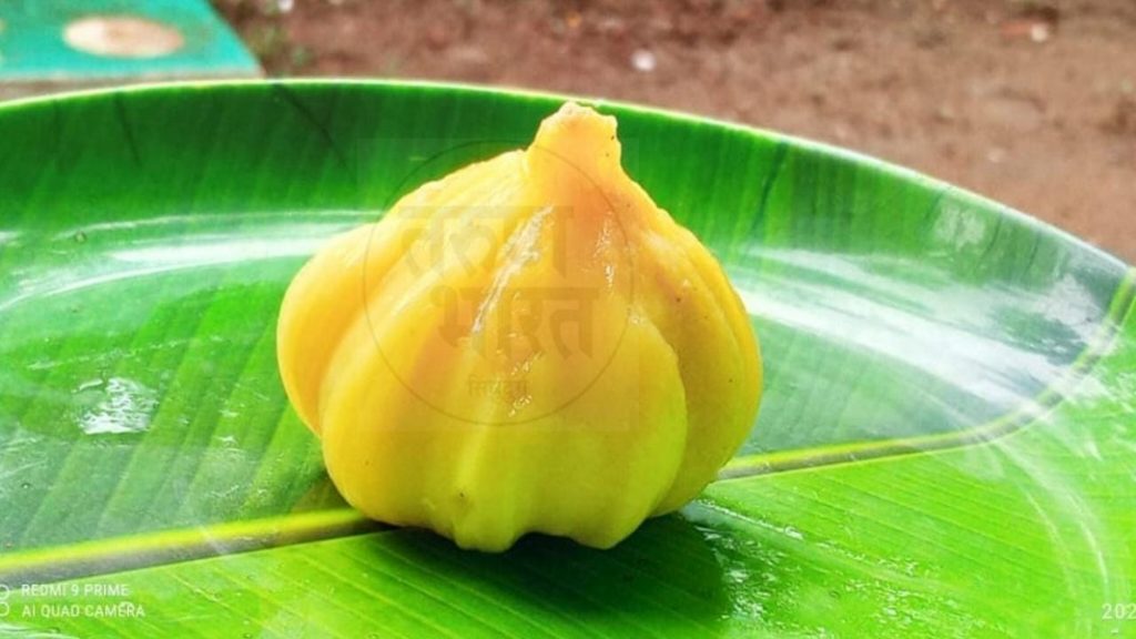 Exclusive | मोदकाच्या आकाराचा सापडला फणसाचा गरा ! Exclusive