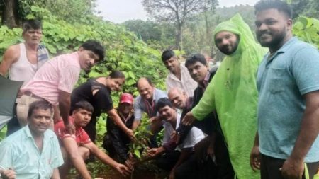पत्रकार संरक्षण समितीच्या वतीने मळेवाड येथे वृक्षारोपण