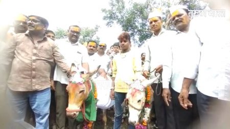 Donkey marriage behalf farmers villagers abundant rain Tamgaon