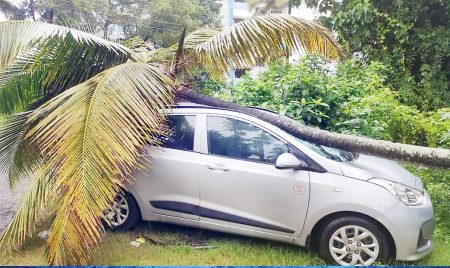 a-roof-fell-on-a-car-in-bayana-loss-of-two-lakhs