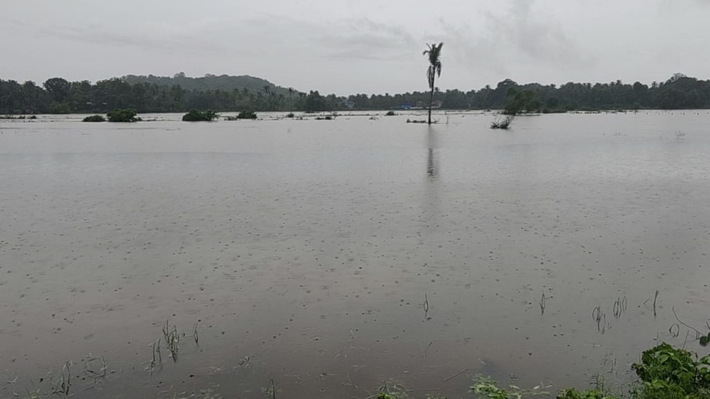 सरासरी पार, एकूण पाऊस 47 इंच Average par, total rainfall 47 inches in panaji