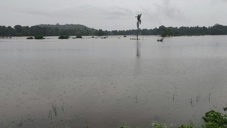 Average par, total rainfall 47 inches in panaji
