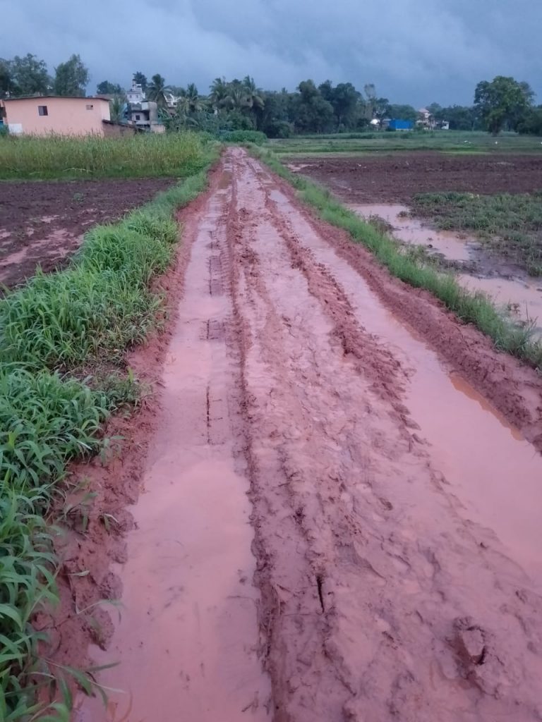 The administration should immediately repair the roads in the farm and suburbs