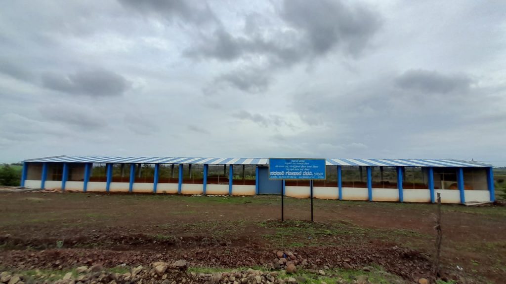 सरकारी गो-शाळा जनावरांच्या प्रतीक्षेत Awaiting government cow-school animals