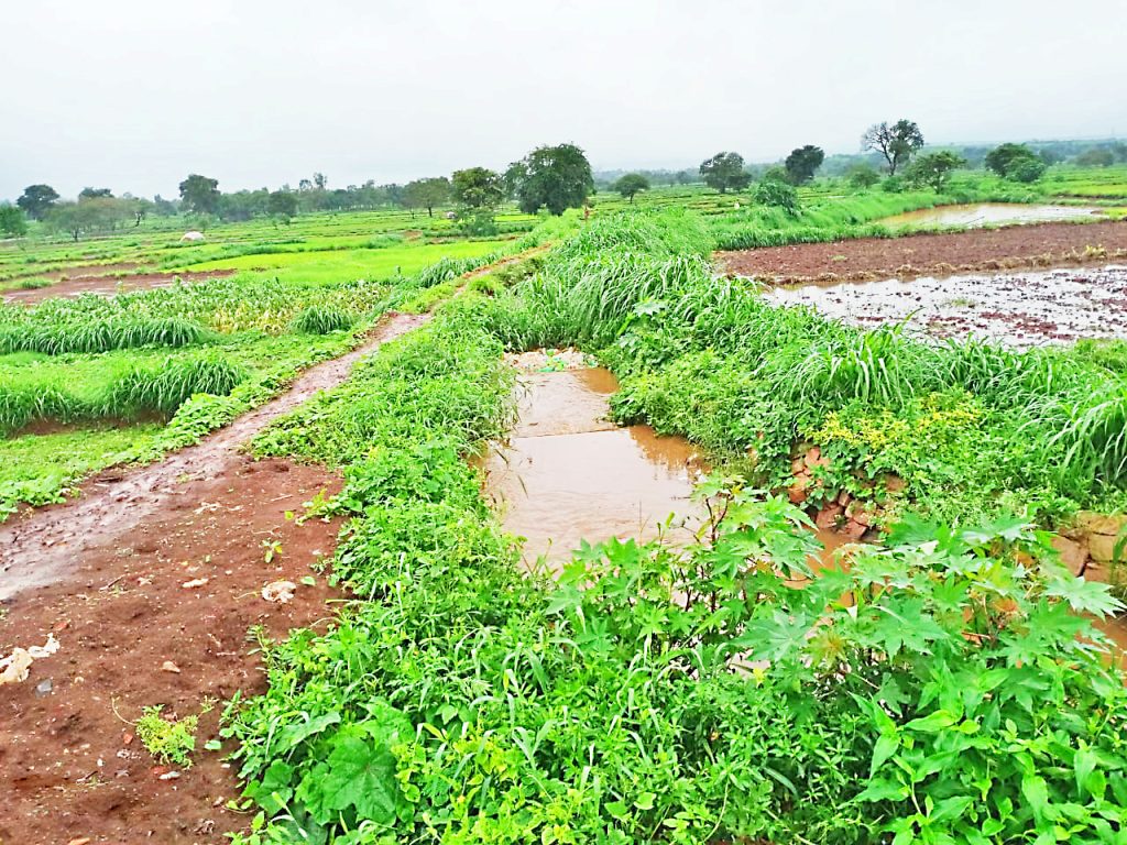 कंग्राळी बुद्रुक गावालगतचा कालवा सफाईची मागणी Demand for canal cleaning near Kangrali Budruk village