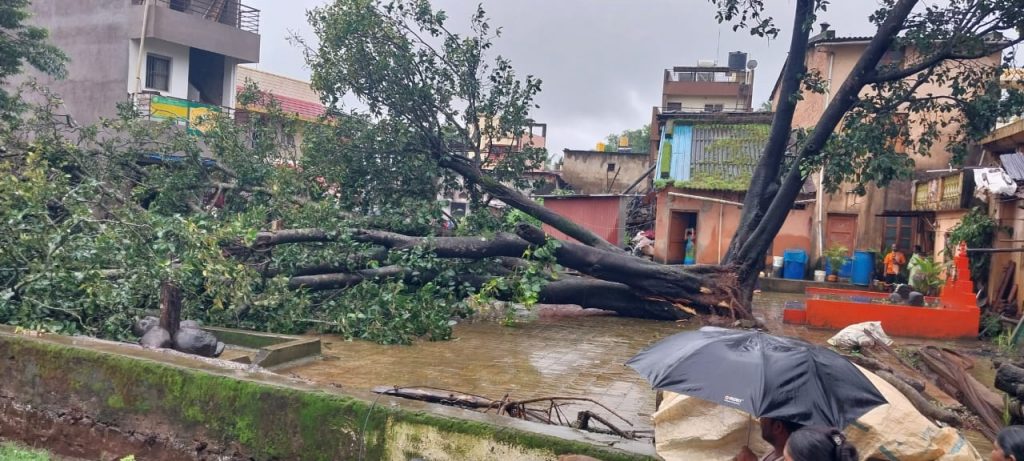 संततधारमुळे वटवृक्ष-वीजखांब कोसळले Banyan trees and power poles fell due to torrential downpour
