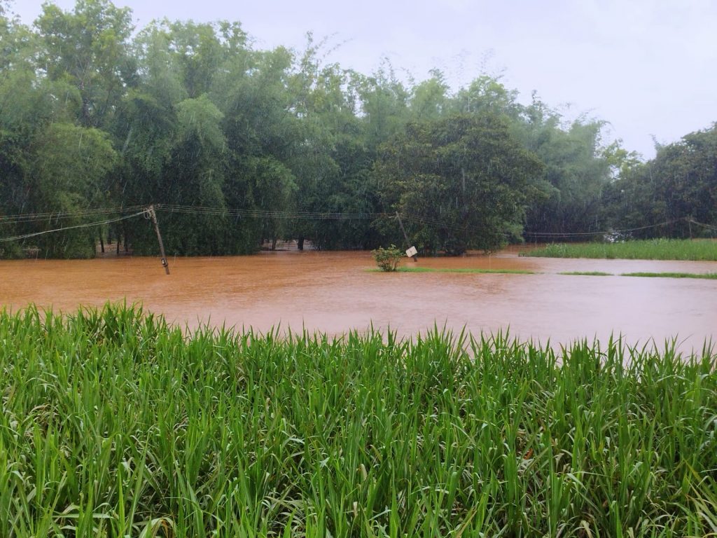 Markandeya water out of container... crop threat