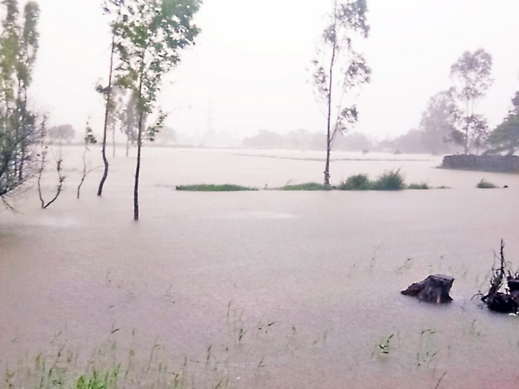 Flooding of drains in the eastern part of the taluk