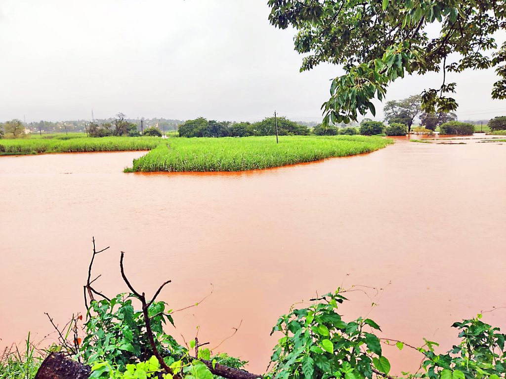 Flood situation in Uchgaon Markandey river