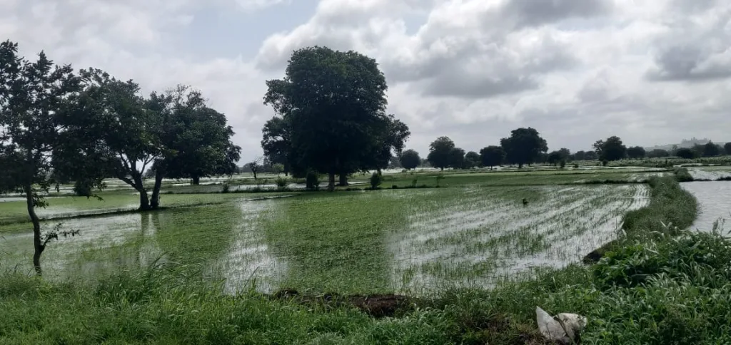 Relief to the farmers of Ballari Nala area